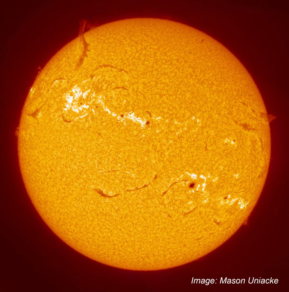 Solar prominences and filaments in Ha