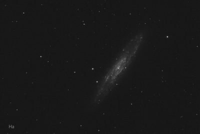 NGC 253 in Ha