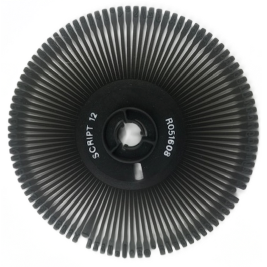 Daisy wheel from a typewriter