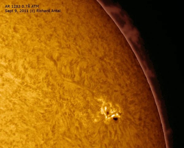 Prominences