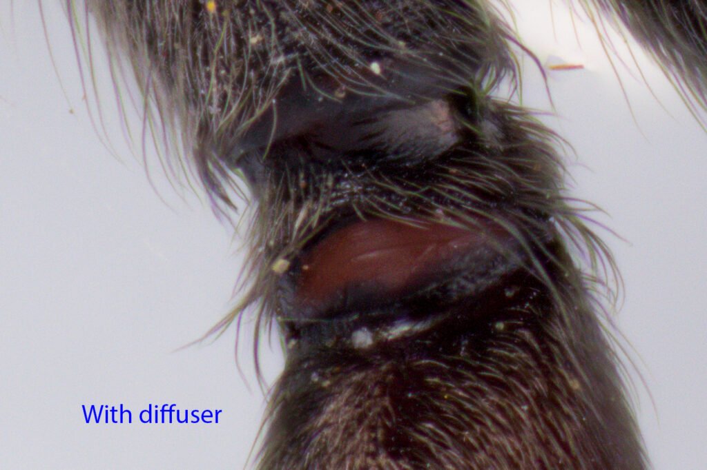 Spider knee detail with diffuser