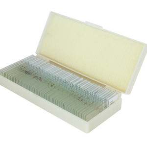 Animals Biological Microscope Prepared Slides