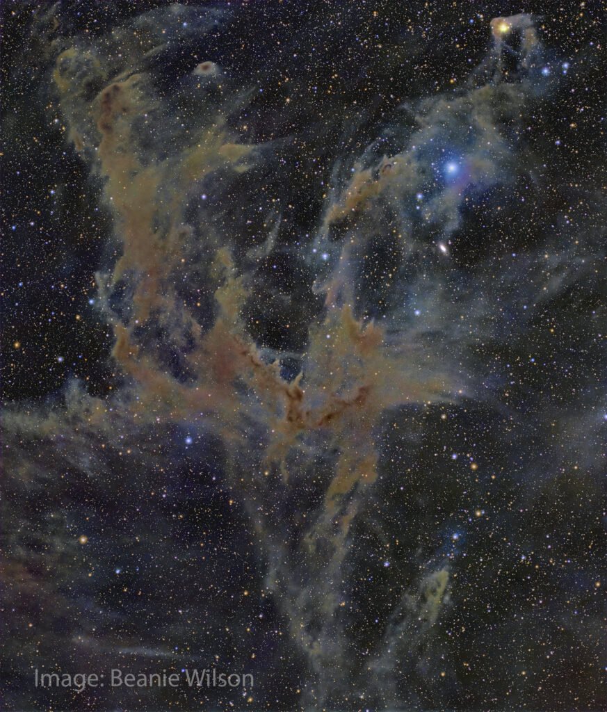 Venom Nebula with SeeStar S30P. Image: Beanie Wilson.